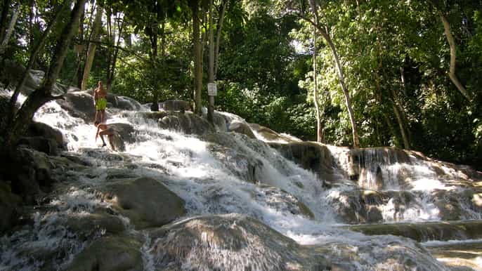 jamaica bob marley and dunn’s river falls tour with lunch