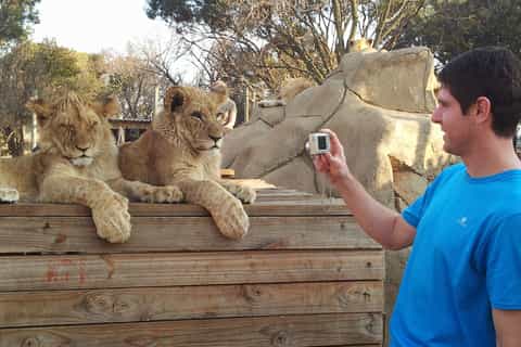 Pretoria: Pretoria City and Lion Park Tour