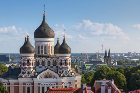 Van Helsinki: Tallinn met retourveerboot en rondleiding