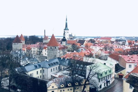 Depuis Helsinki: excursion d'une journée à Tallinn avec visite guidée de 3 heures