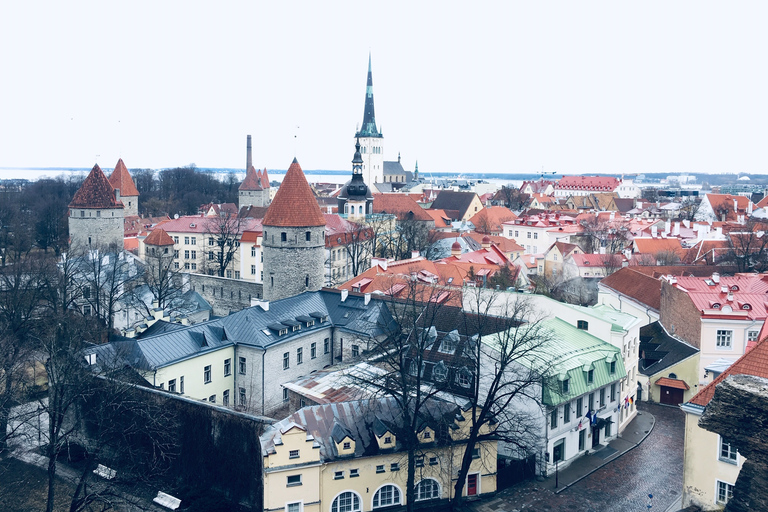 De Helsinque: Tallinn com balsa de ida e volta e tour guiadoDe Helsinque: viagem de um dia a Tallinn com tour guiado de 3 horas