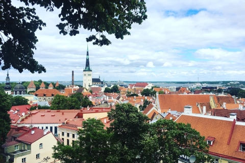 Ab Helsinki: Tagesausflug nach Tallinn & 3-stündige Führung