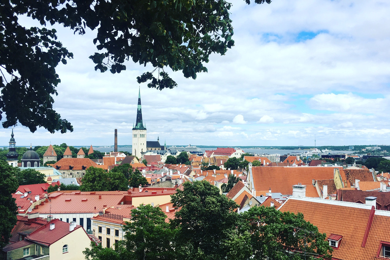 De Helsinque: Tallinn com balsa de ida e volta e tour guiadoDe Helsinque: viagem de um dia a Tallinn com tour guiado de 3 horas