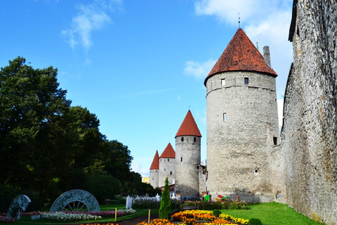 Från Helsingfors: Tallinn med färja tur och retur och guidad turFrån Helsingfors: Tallinn dagstur med 3 timmars guidad tur