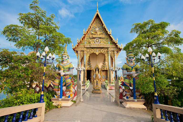 Koh Samui: Kleingruppen-Halbtagestour zu den Highlights der StadtKoh Samui: Halbtägige Stadtrundfahrt (5 Stunden)