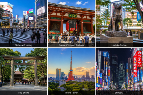 Tokyo: Private City Tour with Local Guide