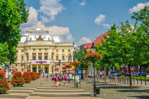 Da Vienna: Tour della città di Bratislava con opzioni gastronomicheTour con pranzo in spagnolo, francese, italiano o russo