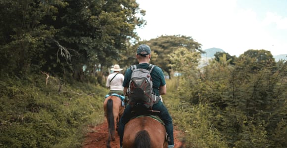 1-hour horse riding in the south of Tenerife