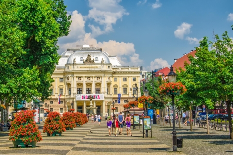 Bratislava: Visite guidée de la grande villeVisite privée en anglais/allemand