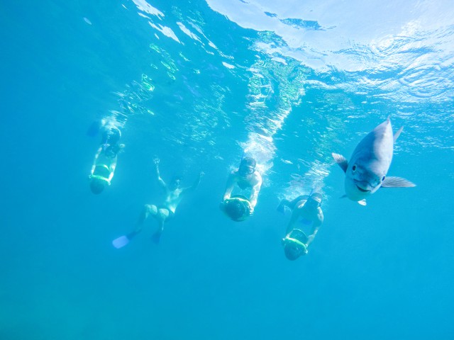 Visit Cabo San Lucas Snorkel, Paddle-board, and/or Kayak Tour in Belfast, Northern Ireland