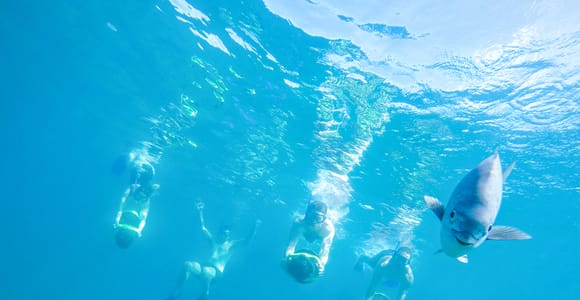 Cabo San Lucas: Snorkel, Paddle-board, and/or Kayak Tour