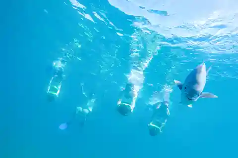 Cabo San Lucas: Snorkel, Paddle-board, and/or Kayak Tour