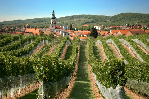 Bratislava: tour e degustazione di vini dei Carpazi di 6 oreTour in Fre, Ita, Esp o Ru