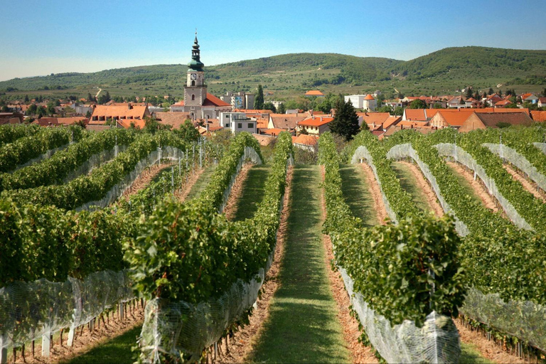 Bratislava: 6-Hour Carpathian Wine Tour and TastingTour in Fre, Ita, Esp or Ru