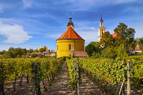 Bratislava : Visite et dégustation de 6 heures de vin des Carpates