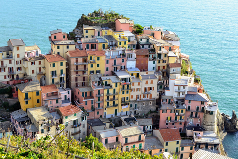 De Florença: Viagem de 1 dia a Cinque Terre e Pisa