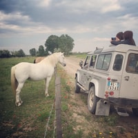 Camargue, Safari da Saintes-Maries-De-la-Mer - Housity