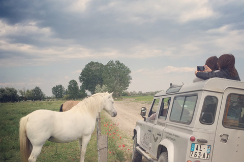 Camarga: Safari desde Saintes-Maries-de-la-MerTour compartido