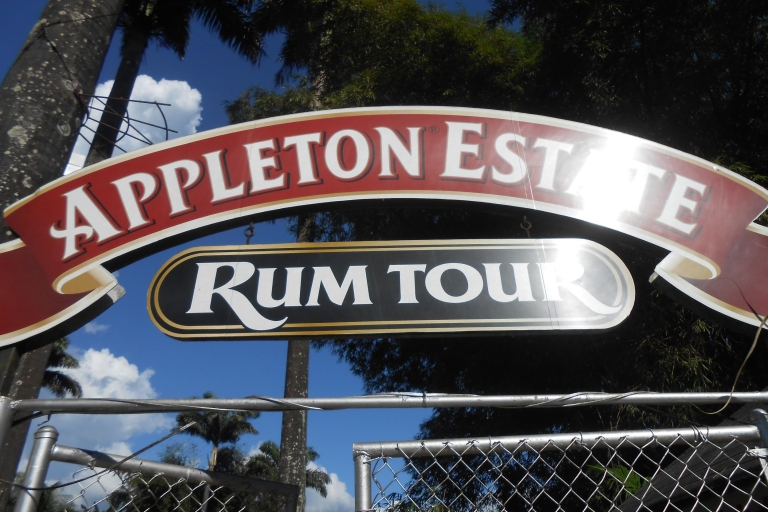 Jamajka: Black River Safari, YS Falls i Appleton Rum TourOd hoteli w Runaway Bay