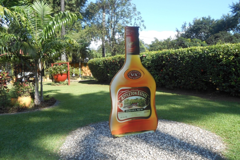 Jamaica: Black River Safari, YS Falls, and Appleton Rum Tour From Runaway Bay Hotels