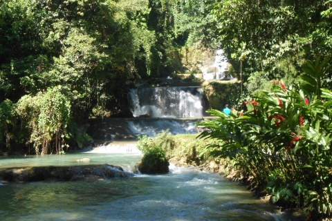 Jamaica: Black River Safari, YS Falls en Appleton RumVanaf hotels in Negril & Palladium