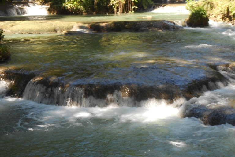 Jamaica: Black River Safari, YS Falls en Appleton RumVanaf hotels in Runaway Bay