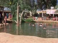 De Djerba, Ksar Ghilane Sahara et Oasis Tour d'une journée complète - Hizvo
