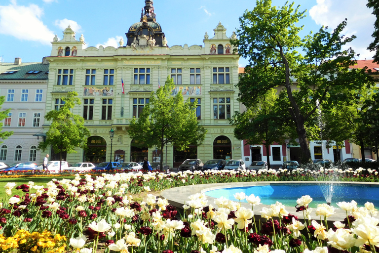 Pilsen: Visite de la vieille ville