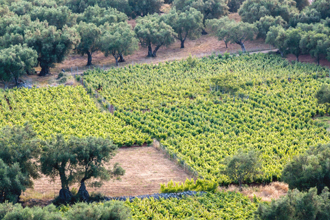 Private Experience | Zakynthos Winetasting Tour | 2 hours