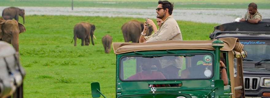 Parc national de Minneriya : safari privé en 4x4 à la rencontre des éléphants