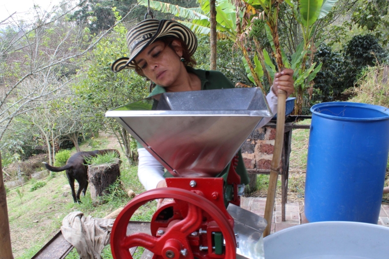 Bogotá: visite guidée d'une ferme de café de 5 heuresOption standard