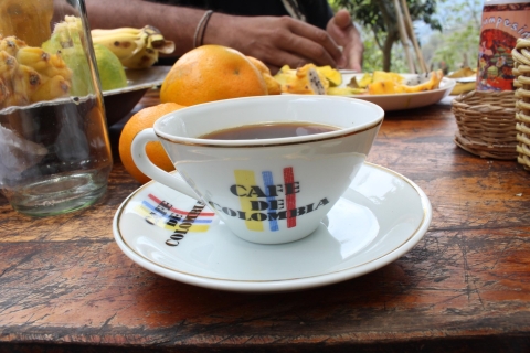 Ab Bogotá: Geführte Bio-Kaffeefarm-TourStandard-Option