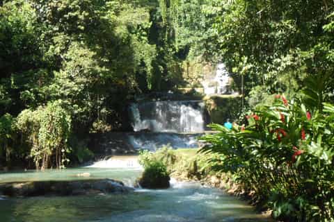 St Elizabeth: River Safari and Y.S. Falls with Lunch