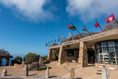 Private Tour: Table Mountain, Penguins Colony & Cape Of Good