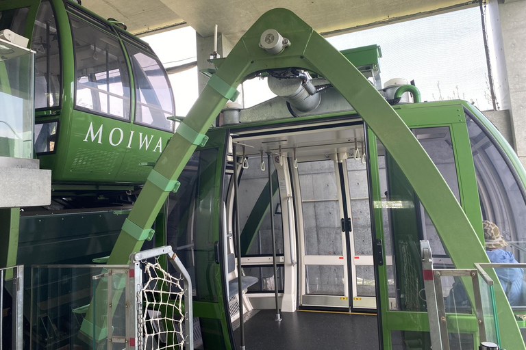 سابورو: جولة تلفريك جبل مويوا - ليلاً أو نهاراً، 4 خياراتاليوم – RT المحلي