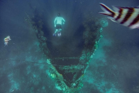 Coron: Barracuda-meer, skeletwrak, boottocht met twee lagunes