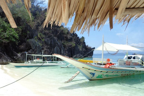 Coron: lago Barracuda, naufragio del esqueleto, tour en barco por Twin Lagoon