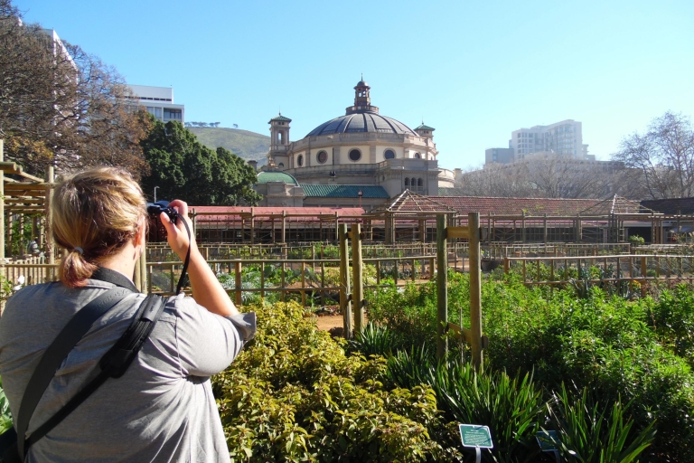 Cape Town: Spectacular Botanical Gardens with Guided Tour Standard Option