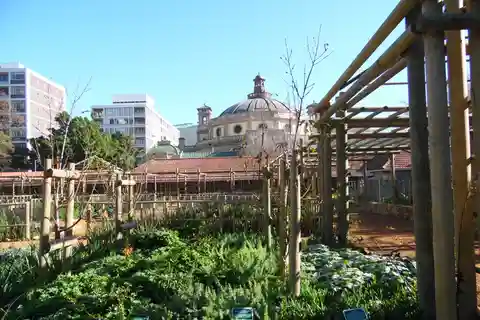 Kapstadt: Spektakulärer Tafelberg & Kirstenbosch Gärten