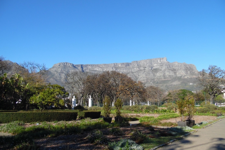 Cape Town: Spectacular Botanical Gardens with Guided Tour Standard Option