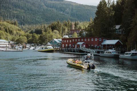 Telegraph Cove: 3-Hour Whale Watching Tour in a Zodiac Boat