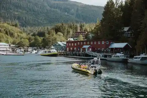 Telegraph Cove: Tour di 3 ore per l'osservazione delle balene in barca Zodiac