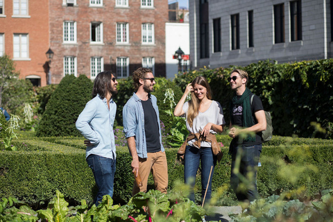 Old Montreal: Off the Beaten Path Guided Walking Tour