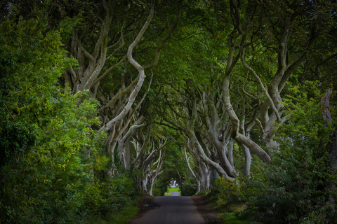 De Belfast: visite privée de luxe d'une journée complète de Game of Thrones