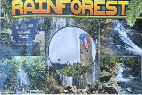El Yunque Tour Forêt tropicale et toboggan aquatique Puerto Rico
