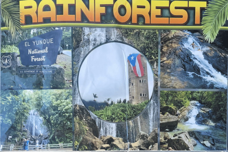 El Yunque Tour Forêt tropicale et toboggan aquatique Puerto Rico