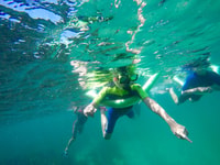 Manly y Shelly Beach Snorkeling Tour - Hizvo