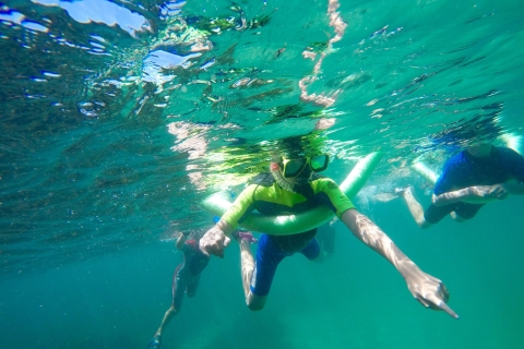Plages de Manly et Shelly : excursion de snorkelingConditions d'annulation : 60 % remboursé jusqu'à 24 h avant