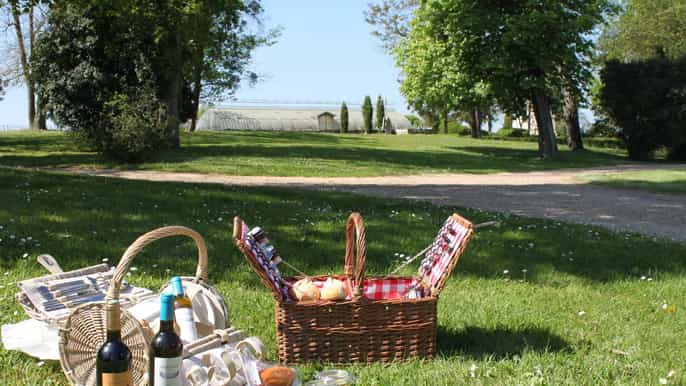 bordeaux visite de 3 domaines viticoles avec dégustations