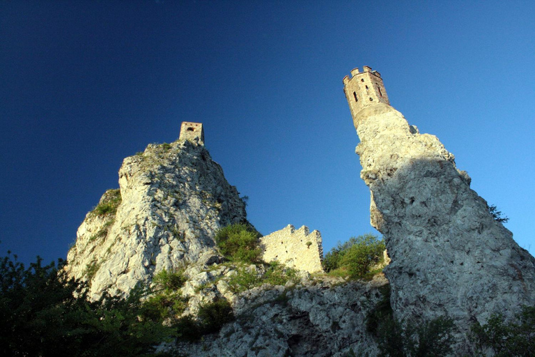 Bratislava : Grand tour de ville avec le château de DevinVisite de groupe